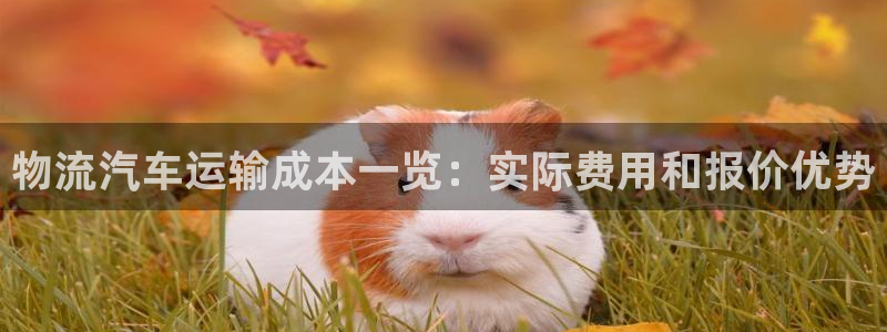 超凡国际注册与教程：物流汽车运输成本一览：实际费用和报价优势