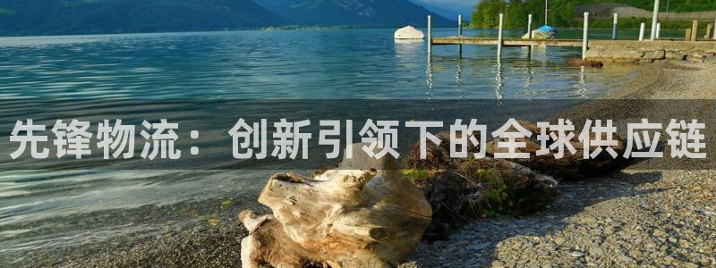 超凡国际官方官网：先锋物流：创新引领
