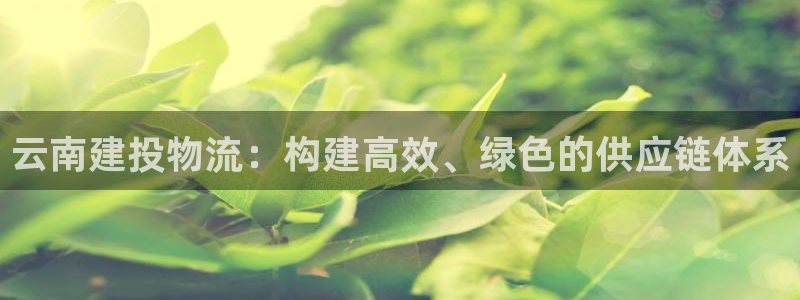 超凡国际电子游戏：云南建投物流：构建