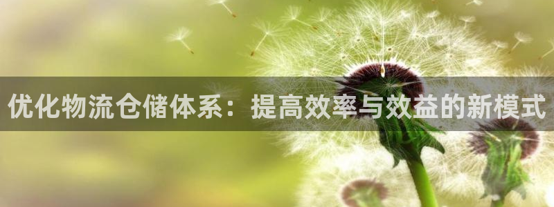 超凡国际网赌案件：优化物流仓储体系：