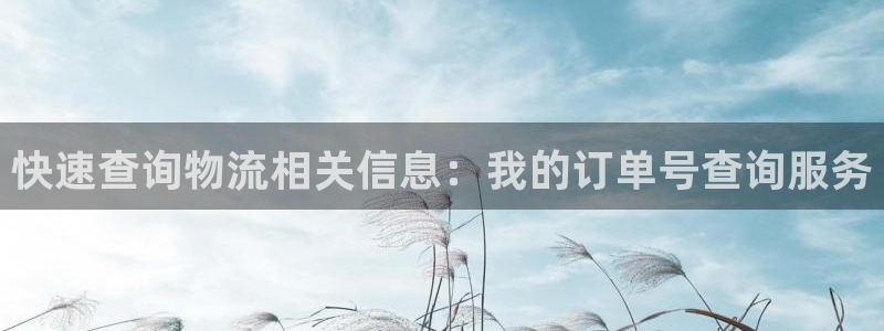超凡国际麻将胡了在线试玩：快速查询物
