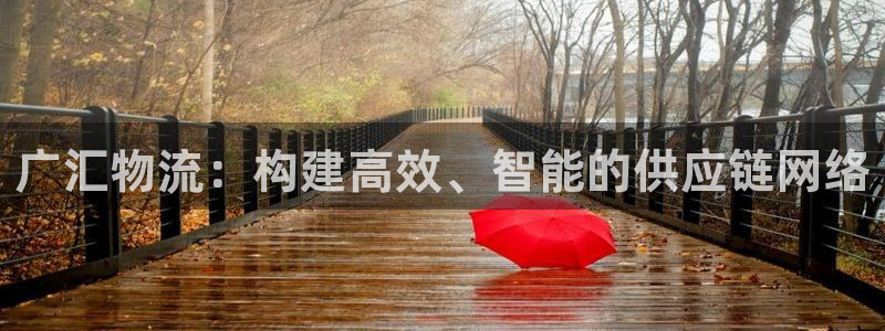 超凡国际官方：广汇物流：构建高效、智