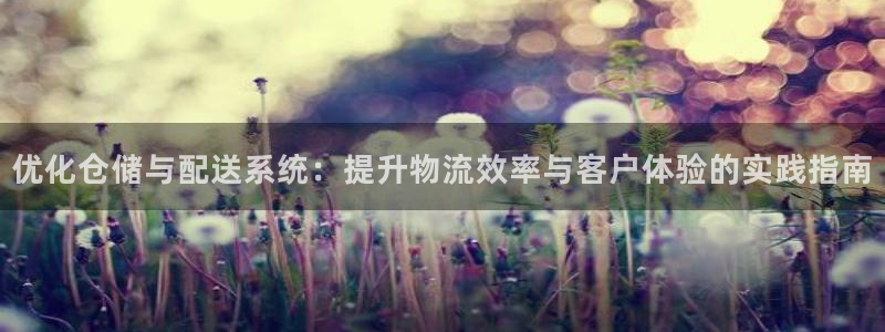 超凡国际pg如何退钱：优化仓储与配送