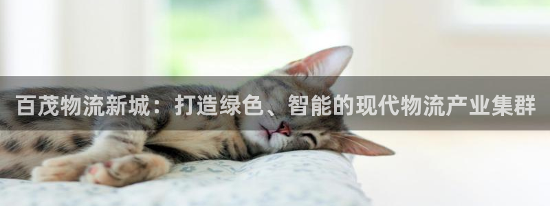 超凡国际官网版下载：百茂物流新城：打
