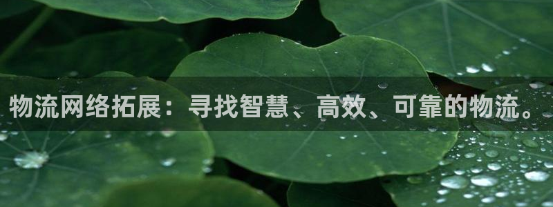 超凡国际合法吗:物流网络拓展:寻找智