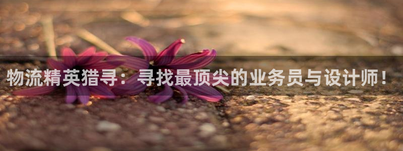 超凡国际PG电子游戏:物流精英猎寻: