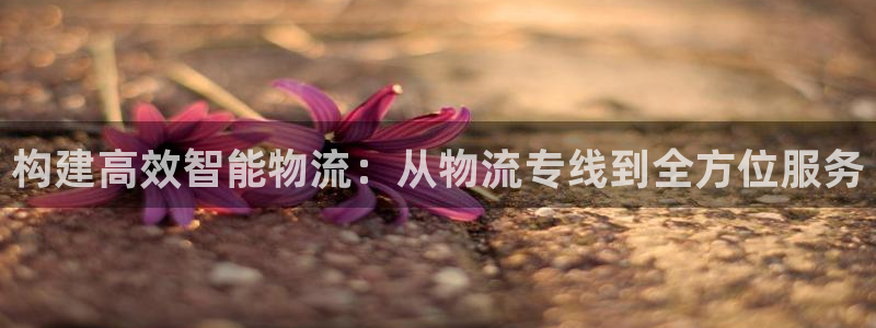 超凡国际登录网：构建高效智能物流：从